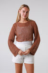 Long Sleeve Crochet Top Brown